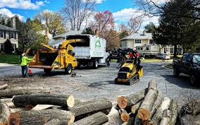 Best Leaf Removal  in Smithfield, NC