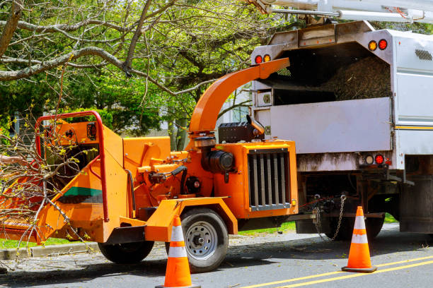 Best Tree Risk Assessment  in Smithfield, NC